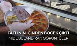 Mide bulandıran görüntüler: Tatlının içinden böcek çıktı