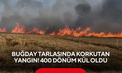 Dev tarla yangını: 400 dönüm buğday zarar gördü