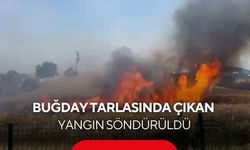 Buğday tarlasında çıkan yangın söndürüldü