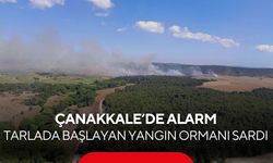 Çanakkale'de korkutan yangın! Tarım arazisinden ormanlık alana sıçradı...