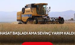 Çiftçinin umudu tarlada kaldı! Arpa hasadında rekolte şoku!