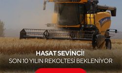 Çiftçinin yüzü gülüyor! Hububatta son 10 yılın en yüksek rekoltesi...
