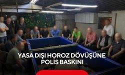 Çiftlikte yasa dışı horoz dövüşüne polis baskını!