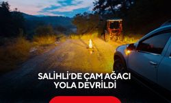 Salihli’de çam ağacı yola devrildi: Yol ulaşıma kapandı