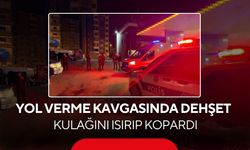 Yol verme kavgasında dehşet: Kulağını ısırıp kopardı