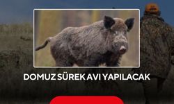 Bu köylerde yaşayanlar dikkat! Yarın domuz sürek avı yapılacak