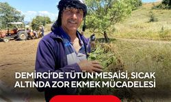 Demirci’de tütün mesaisi, sıcak altında zor ekmek mücadelesi
