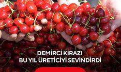 Demirci’de kiraz dalda altın oldu | Dünyaca ünlü Demirci kirazında üreticinin yüzü gülüyor...