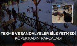 Dinlenme tesisinde kızının gözü önünde vahşeti yaşadı | Başıboş köpek kadının kolunu kopardı...