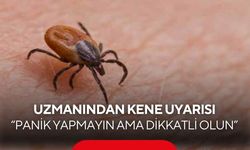 Kene vakalarına karşı uzman uyardı! “Panik yapmayın, doğru müdahale önemli”