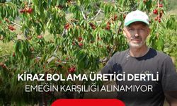 Geçen yıl don vurdu, bu yıl ağaçlar kırılma noktasına geldi! Kiraz rekoltesi yüzleri güldürdü...