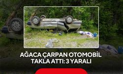 Ağaca çarpan otomobil takla attı: 3 yaralı