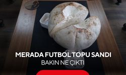 Gören gözlerine inanamadı! Futbol topu zannetti, doğanın sürpriziyle karşılaştı...
