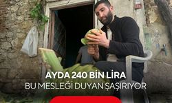 Günde bin enginar, ayda 240 bin lira! Bu mesleği duyan şaşırıyor...