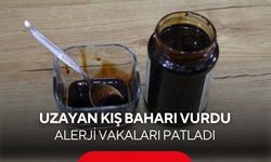 Hapşırık, burun tıkanıklığı, kaşıntı… Bahar alerjisine karşı doğal kalkan!