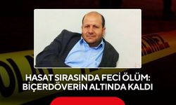 Hasat sırasında feci ölüm: Biçerdöverin altında kaldı