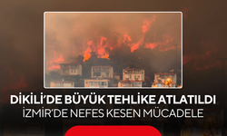 Dikili’de Büyük Tehlike Atlatıldı... Yangın Yerleşimlere Ulaşmadan Durduruldu