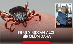 Kene bir can daha aldı!