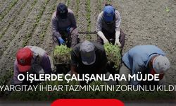 Kapı önüne konulan işçilere hak doğdu! Yargıtay’dan kritik ihbar tazminatı kararı...