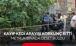 Kayıp kedi arayışı korkunç bitti: Metruk binada ceset buldu