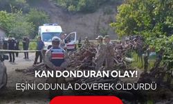 Kan donduran olay: Eşini odunla döverek öldürdü
