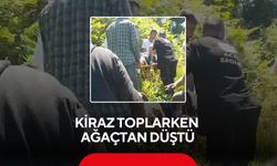 Kiraz toplamak için çıktığı ağaçtan düştü