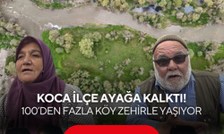 Koca ilçe ayağa kalktı: Sabah namazına kalkanlar kokudan duramıyor