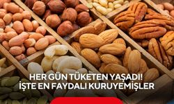 Her gün tüketen yaşadı! İşte en faydalı kuruyemişler