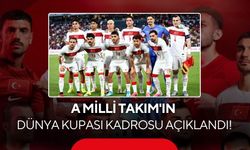A Milli Takım'ın Dünya Kupası kadrosu açıklandı!