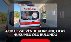 Cezaevinde şüpheli ölüm! Hükümlü tuvalette ölü bulundu
