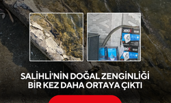 Birisi 2 metre, diğeri Kanyonun derinliklerinde... Salihli'de iki farklı yılan türü kameralara yansıdı