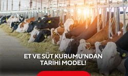 Et ve Süt Kurumu'ndan tarihi model: Kâr garantili besicilik başladı