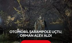 Otomobil şarampole uçtu, orman alev aldı... | Alev alan araçtan son anda kurtuldu