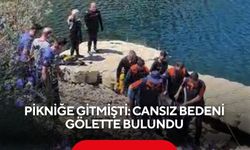 Pikniğe gitmişti: Cansız bedeni gölette bulundu