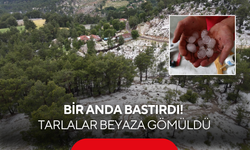 Şiddetli dolu tarımı vurdu! Üreticinin aylarca emeği gitti