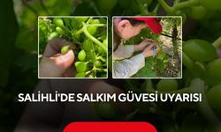 Salihli'de salkım güvesi uyarısı
