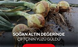 Kuru soğan çiftçinin yüzünü güldürdü ama çiftçi hala tedirgin...