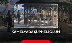 Kamelyada hareketsiz bulundu! 61 yaşındaki adamın acı sonu
