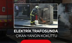 Elektrik trafosunda çıkan yangın kokuttu