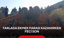 Tarlada ekmek parası kazanırken feci son! Sağ çıkamadı...