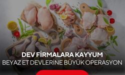 Türkiye’nin beyaz et sektöründe deprem! Kayyum atandı, CEO’lar gözaltında!