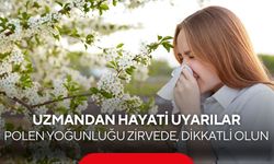 Uzmanlar uyardı! İlkbahar kabusa dönmesin... Polenler alerjik bünyeleri vuruyor...