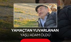 Yamaçtan yuvarlanan yaşlı adam öldü