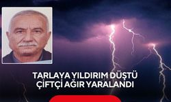 Tarlaya yıldırım düştü, 1 yaralı