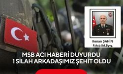 MSB acı haberi duyurdu: 1 silah arkadaşımız şehit oldu