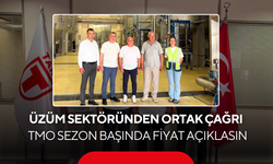 Binlerce üzüm üreticisini ilgilendiriyor... 'TMO Sezon Başında Fiyat Açıklasın'