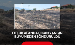 Otluk alanda çıkan yangın büyümeden söndürüldü