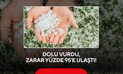 Dolu Birkaç Saatte Bir Yıllık Emeği Yok Etti !