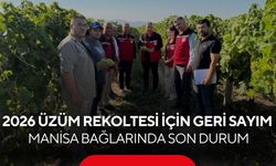 2026 üzüm rekoltesi için geri sayım! Manisa bağlarında son durum...