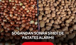 75 TL'yi gören soğanın ardından yeni zam sinyali! Sırada patates var...